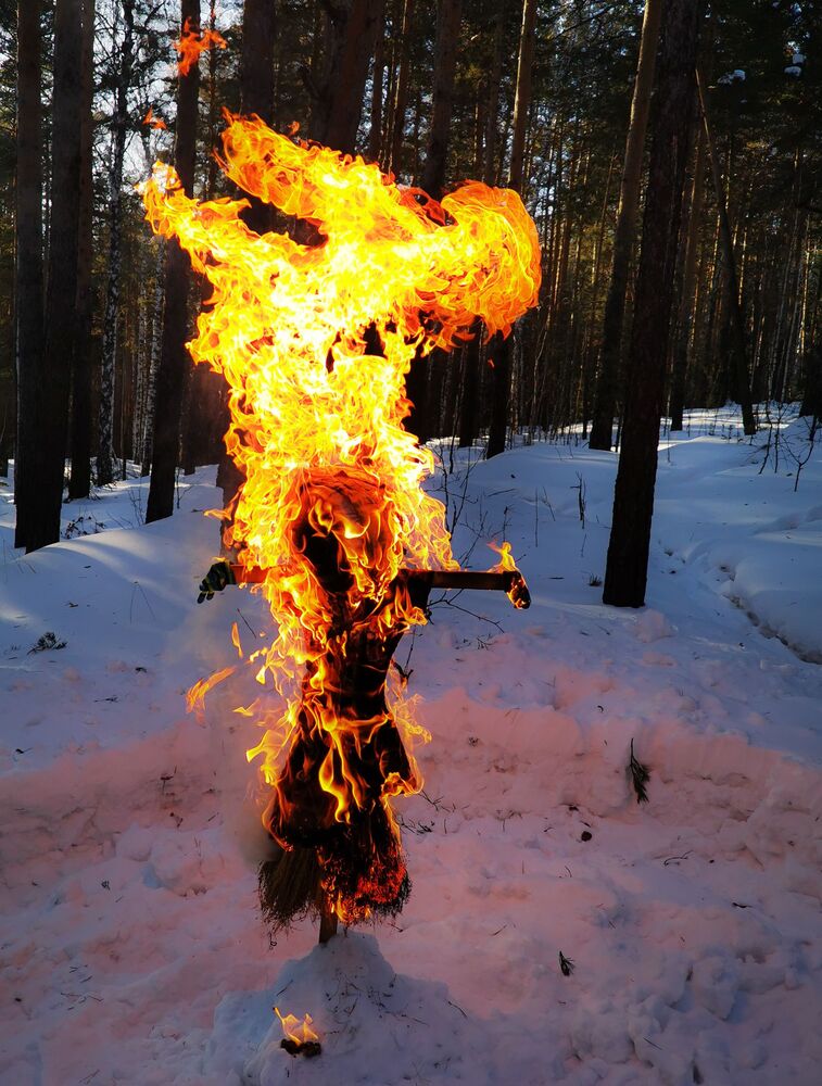 Photo #8854101 (9)