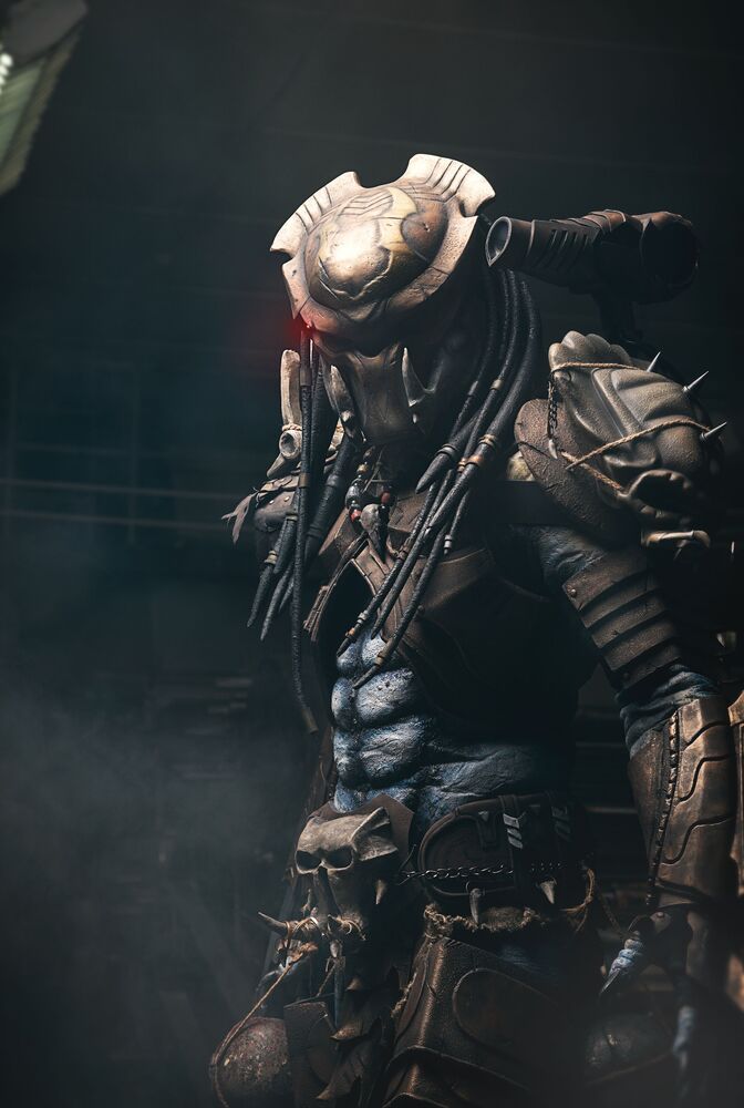The Predators (11)