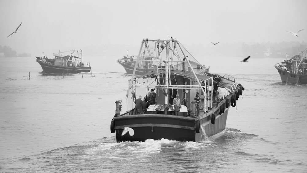 Fishing Boat (2)