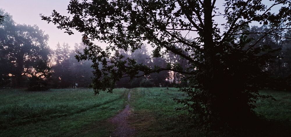 Photo #8901154 (3)