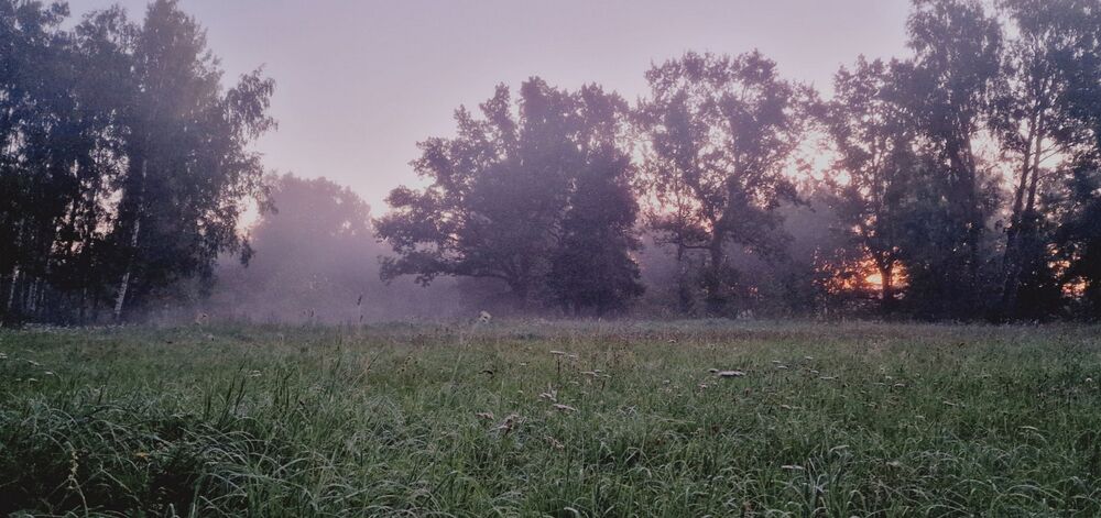 Photo #8901154 (5)
