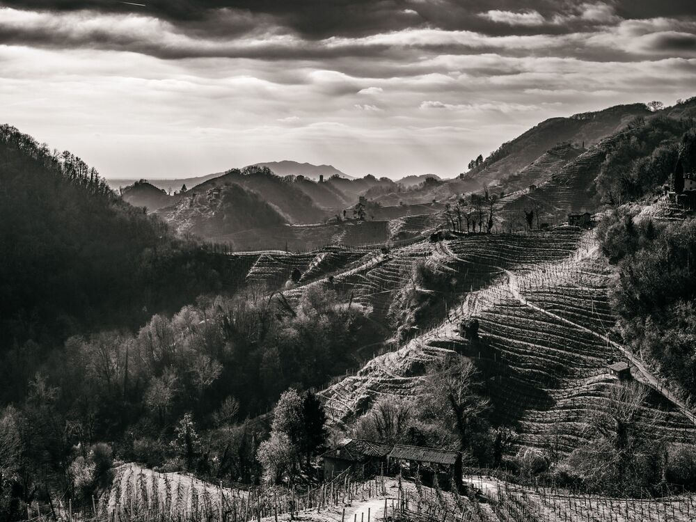 the Prosecco Hills (2)