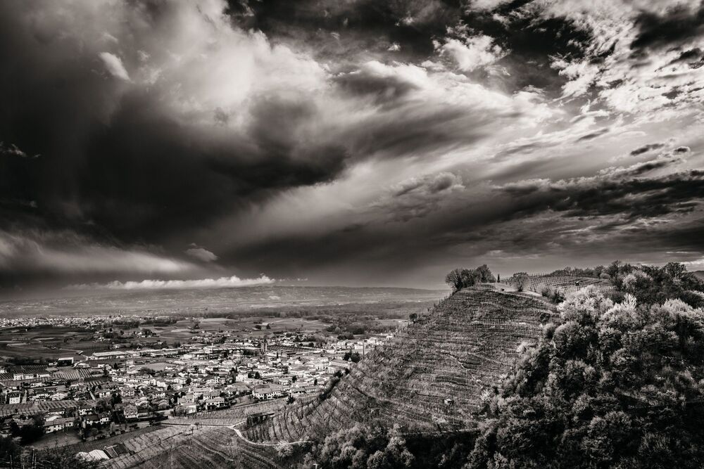 the Prosecco Hills (3)