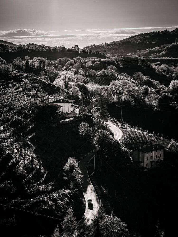 the Prosecco Hills (5)