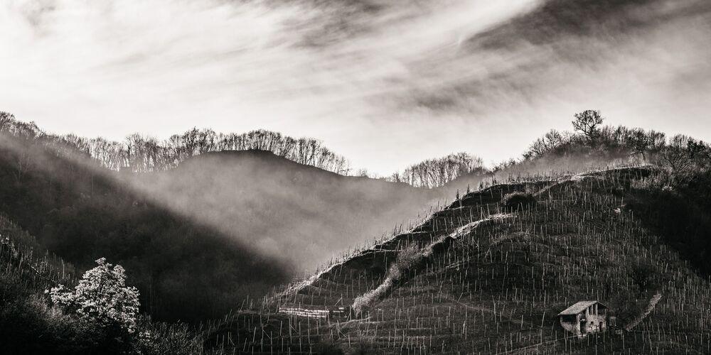the Prosecco Hills (7)