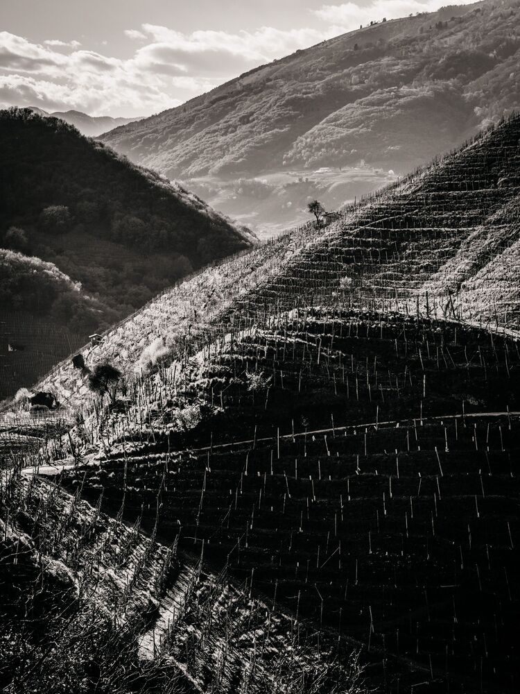 the Prosecco Hills (8)