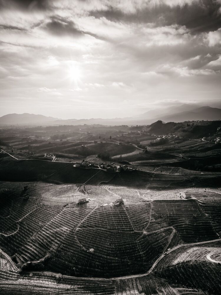 the Prosecco Hills (10)