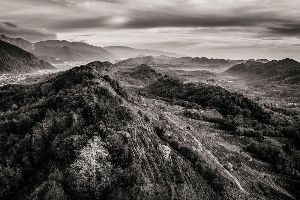 the Prosecco Hills (11)