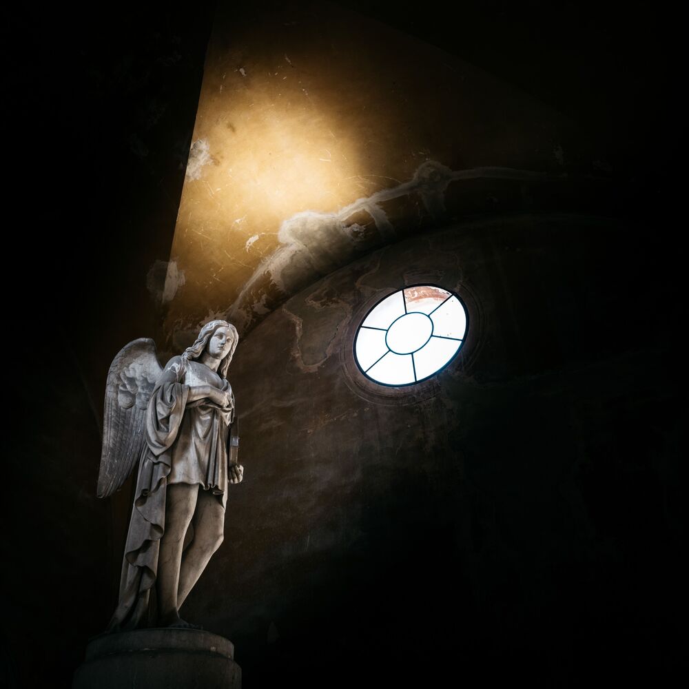 The Charterhouse of Ferrara (4)