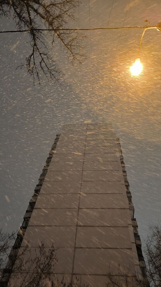 Photo #8938812 (2)