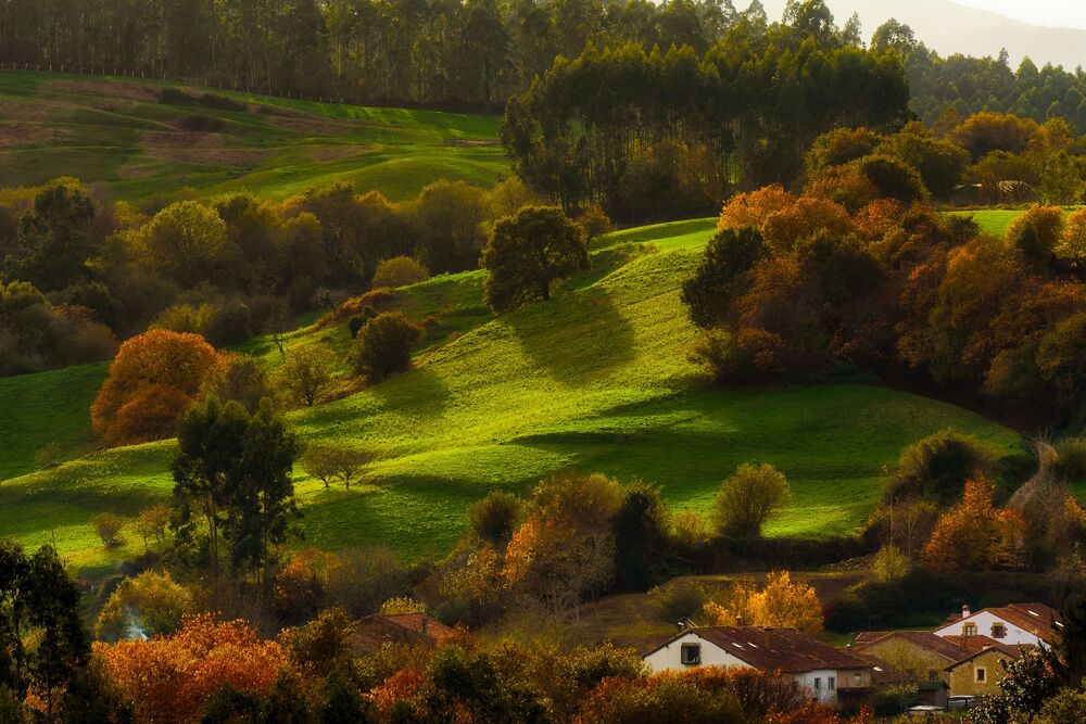 Autumn valley (2)