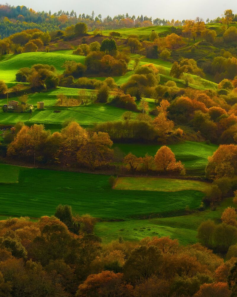 Autumn valley (6)