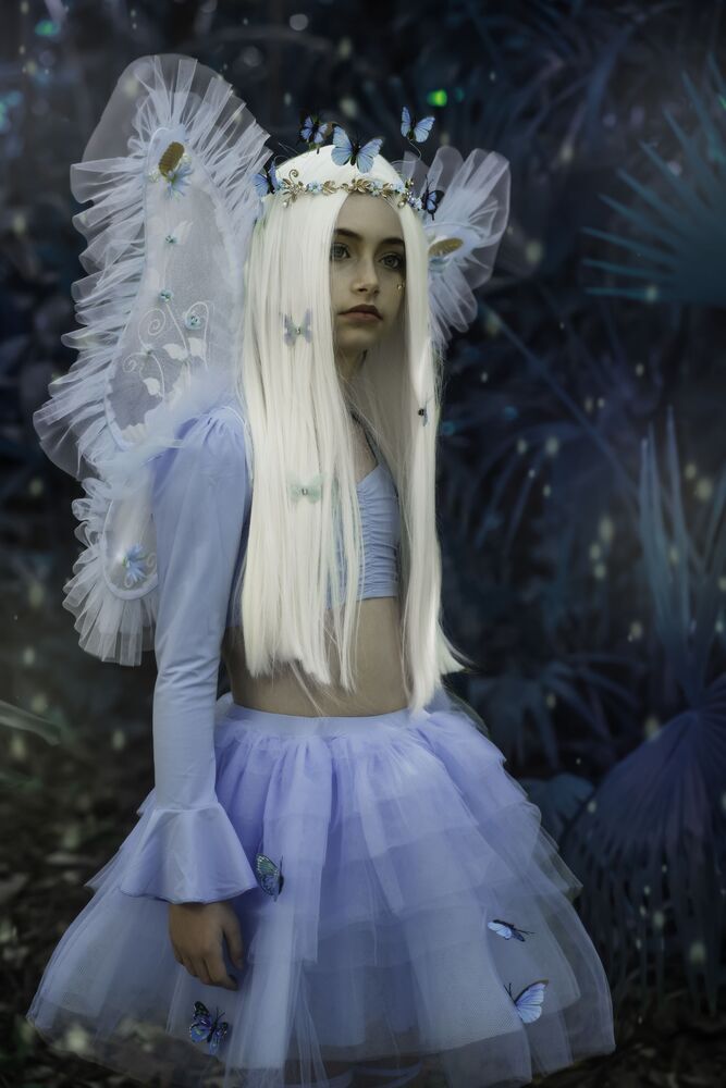The magic forest (2)