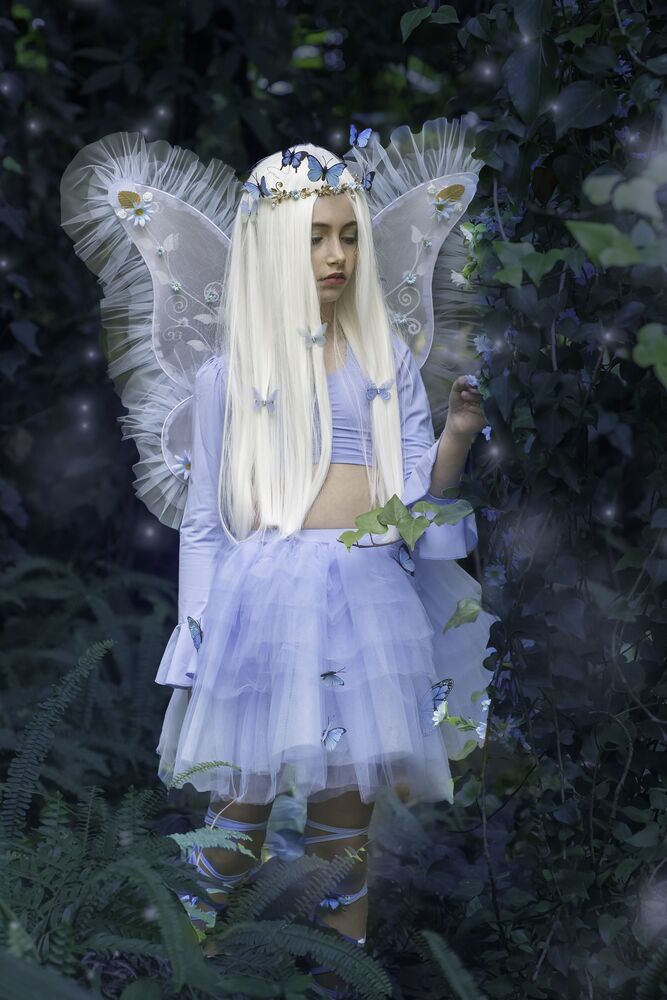The magic forest (3)