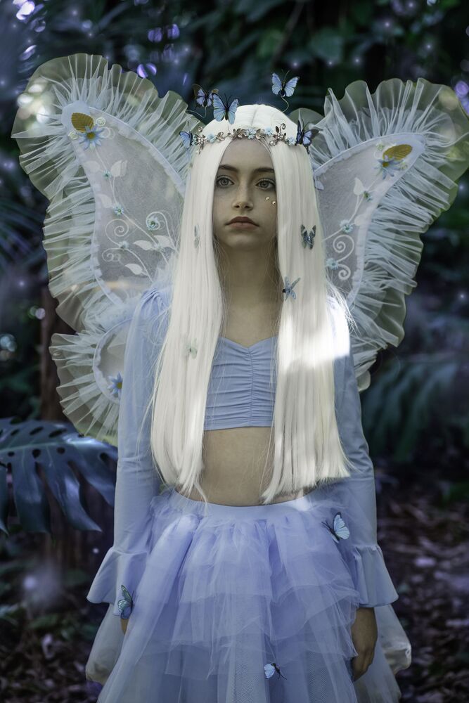 The magic forest (5)