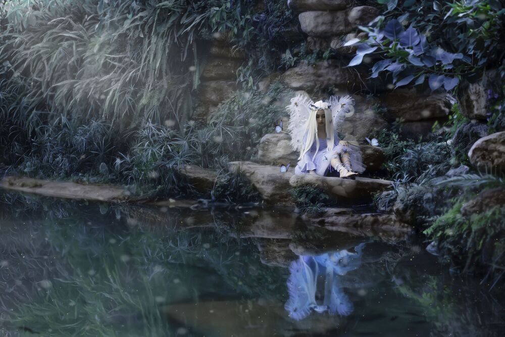 The magic forest (6)