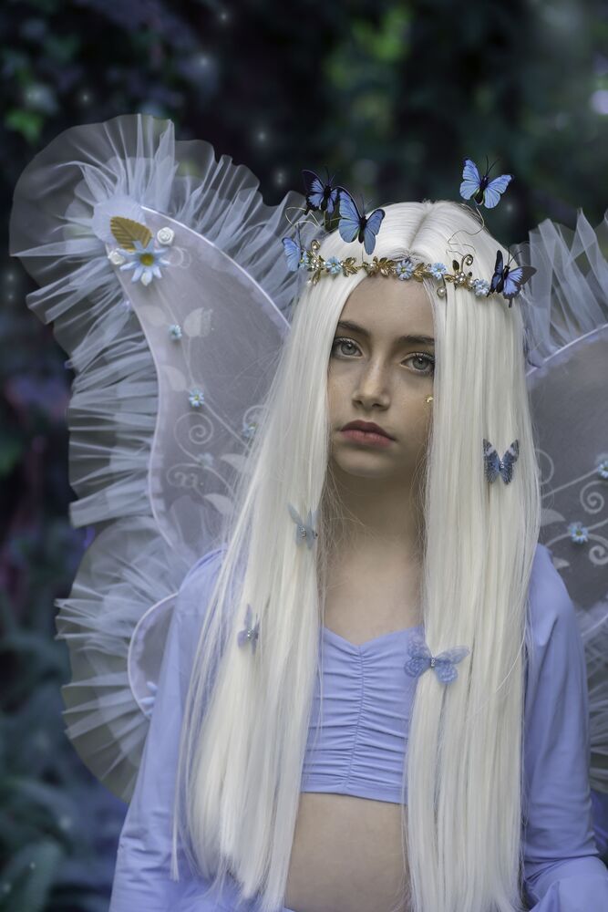 The magic forest (7)