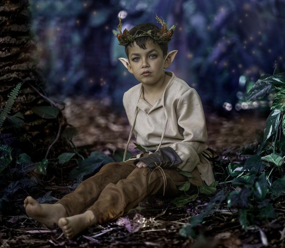 The magic forest (9)