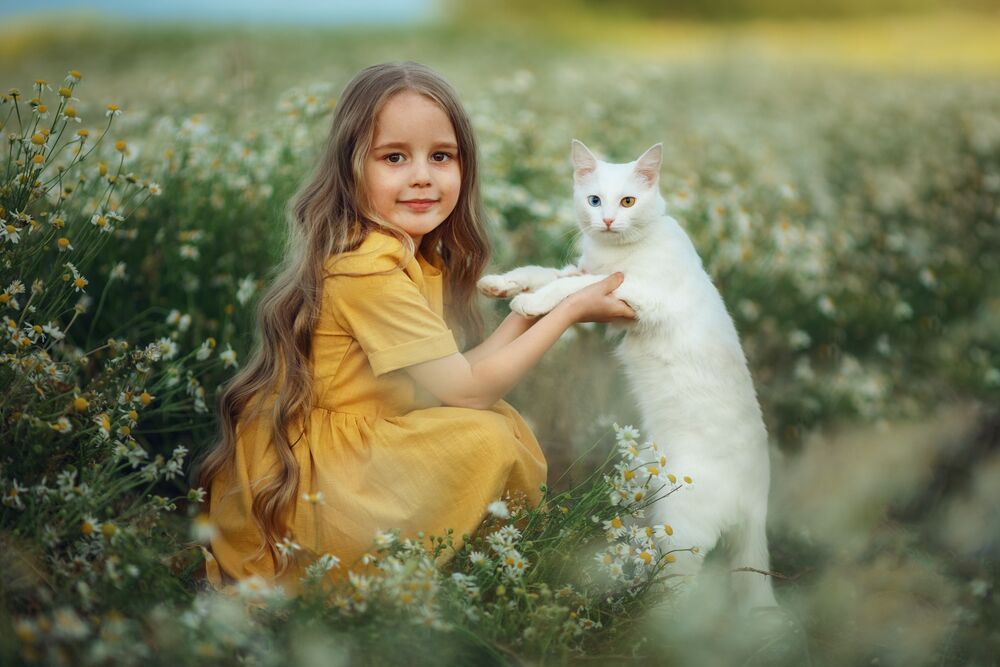 Photo #8944647 (3)