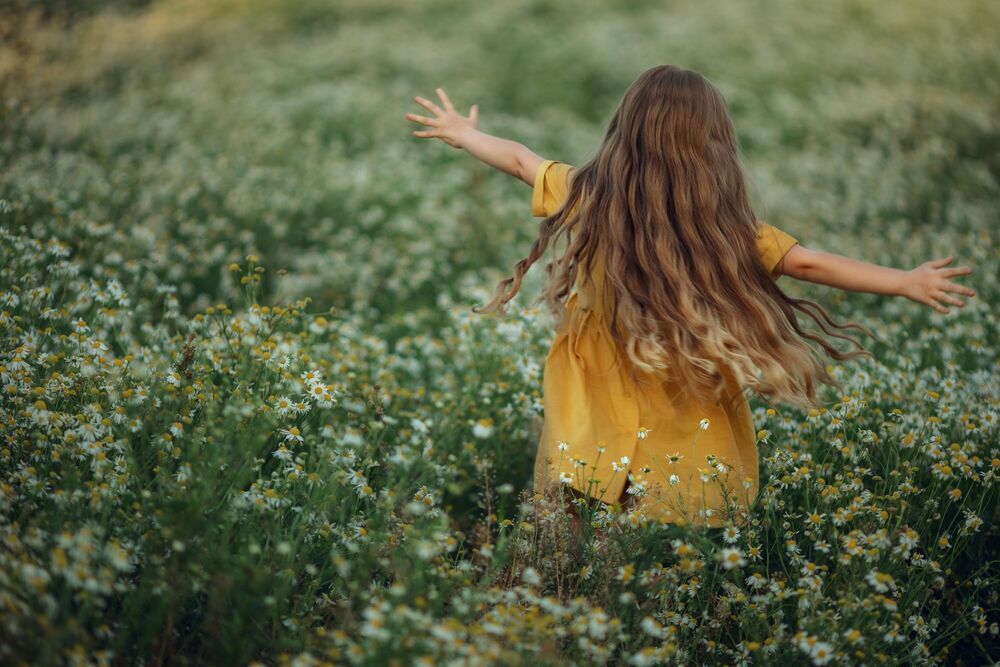 Photo #8944647 (7)