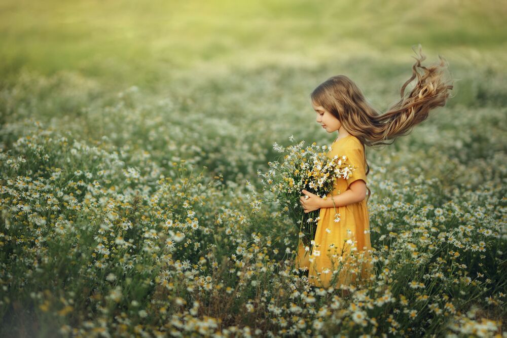 Photo #8944647 (9)