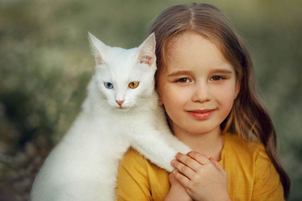 Photo #8944647 (10)