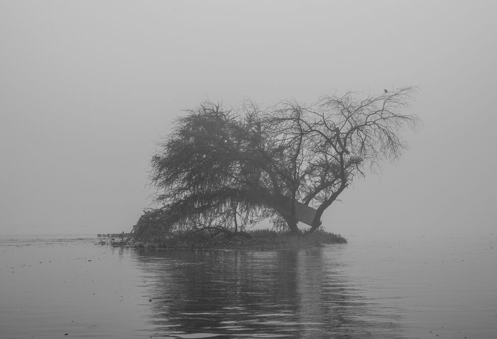 Santa Niebla (2)