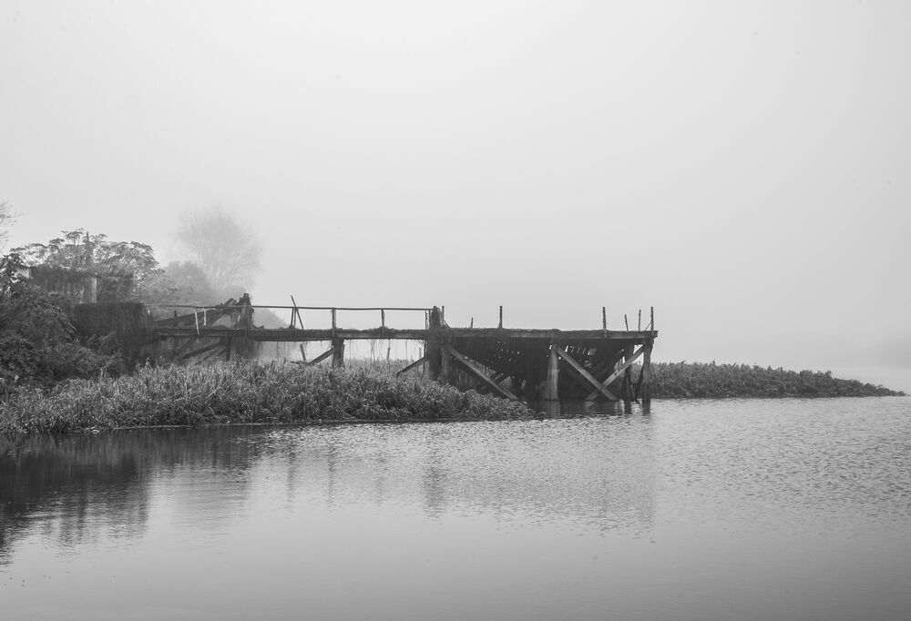 Santa Niebla (3)