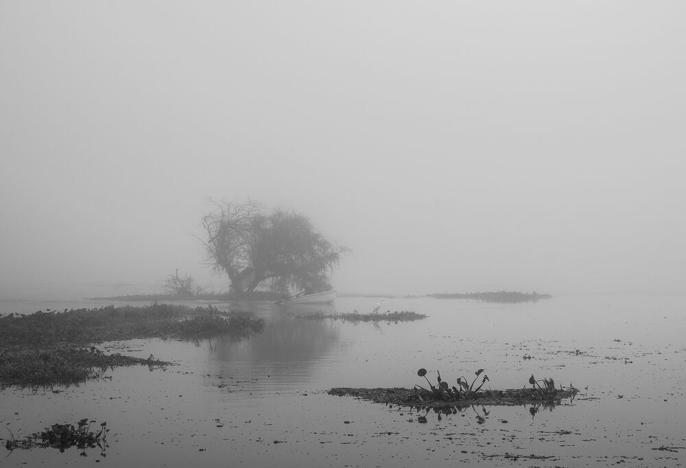 Santa Niebla (4)