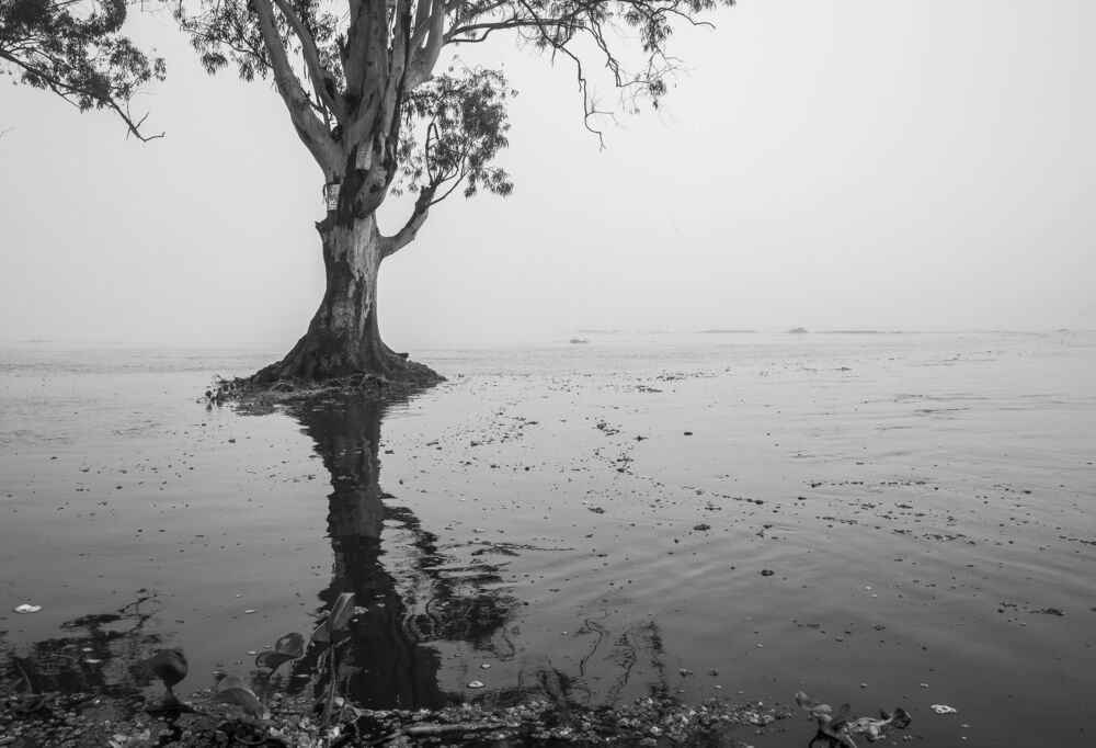 Santa Niebla (5)