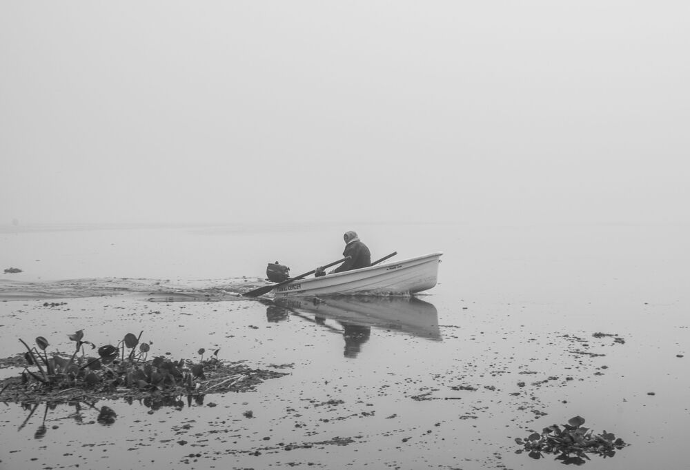 Santa Niebla (7)
