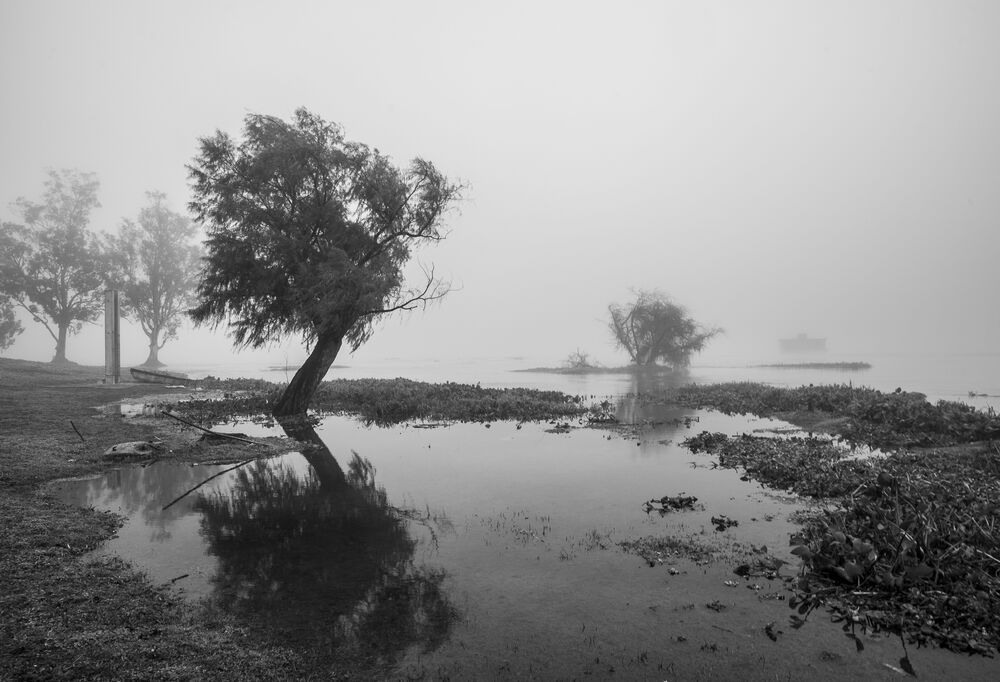 Santa Niebla (8)