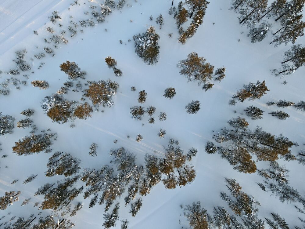 Времена года (2)