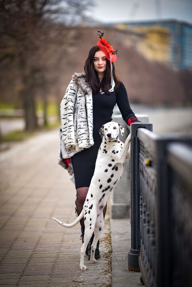 Photo #8974584 (4)