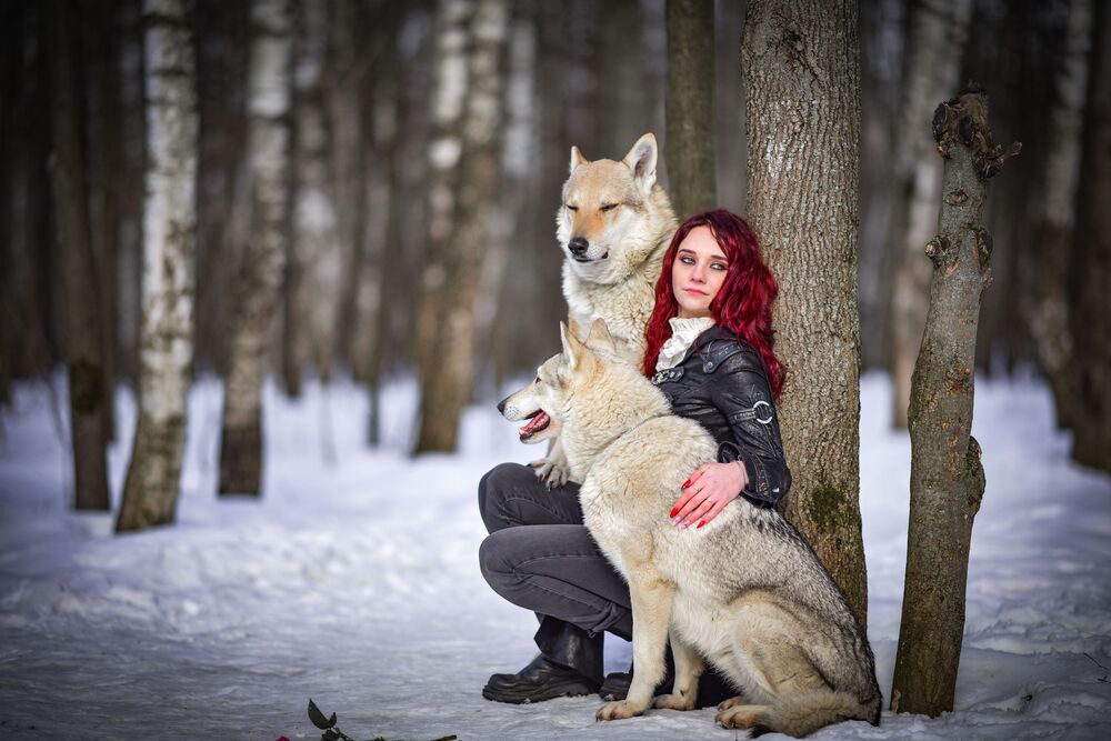 Photo #8974838 (3)