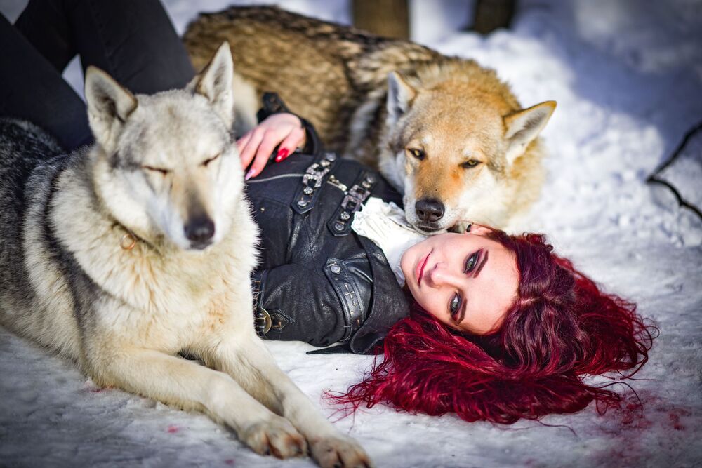Photo #8974838 (4)