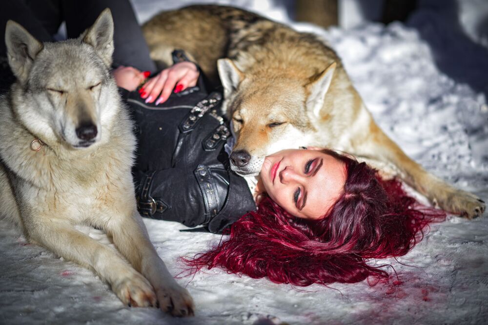 Photo #8974838 (5)