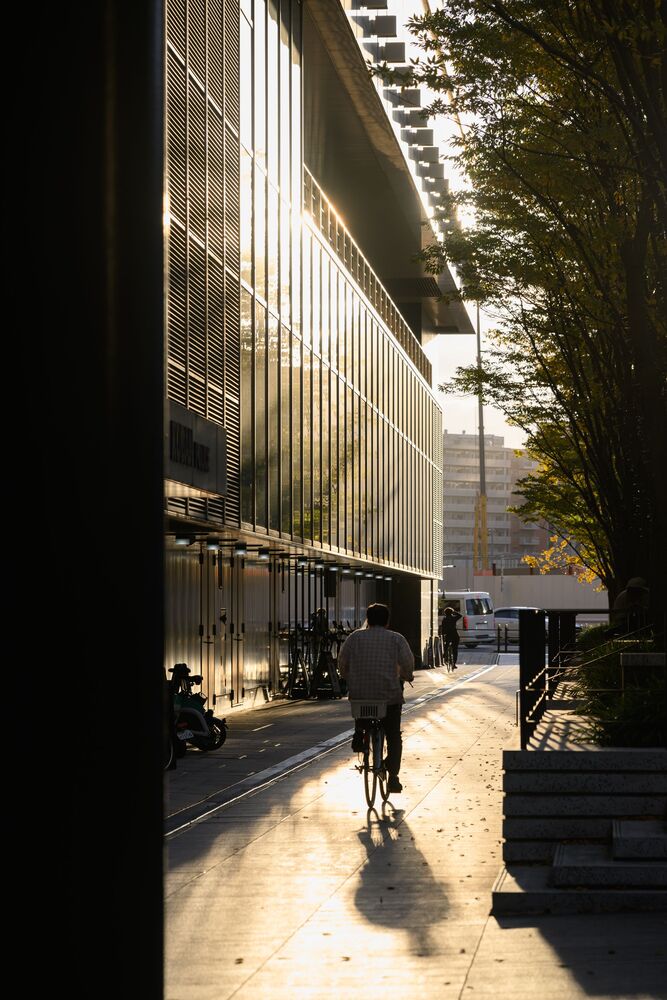 Station Lights (6)