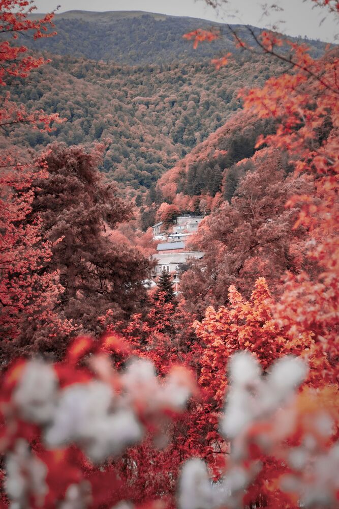 Redd (3)