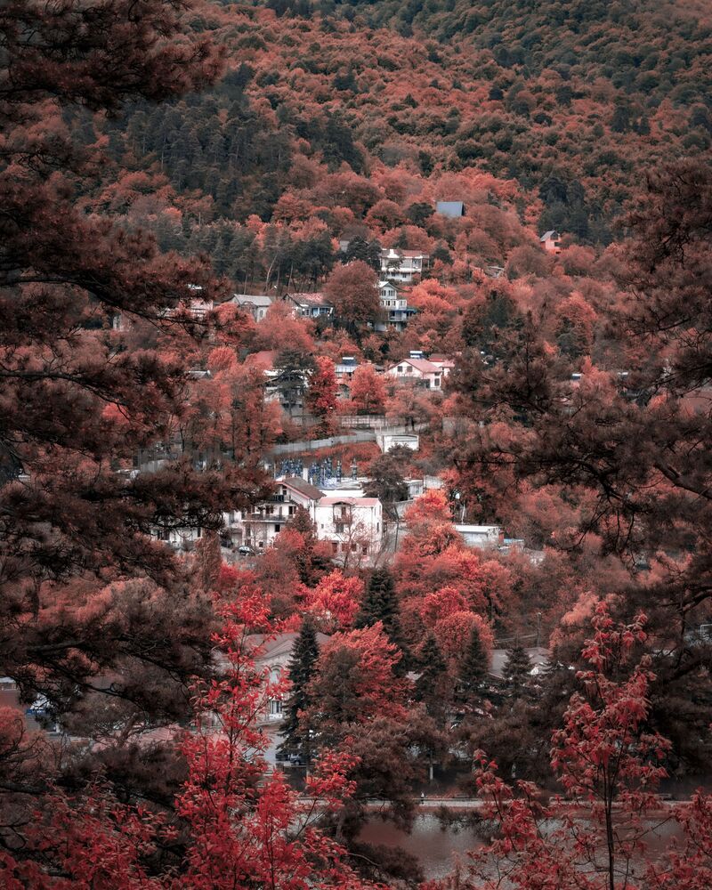 Redd (4)