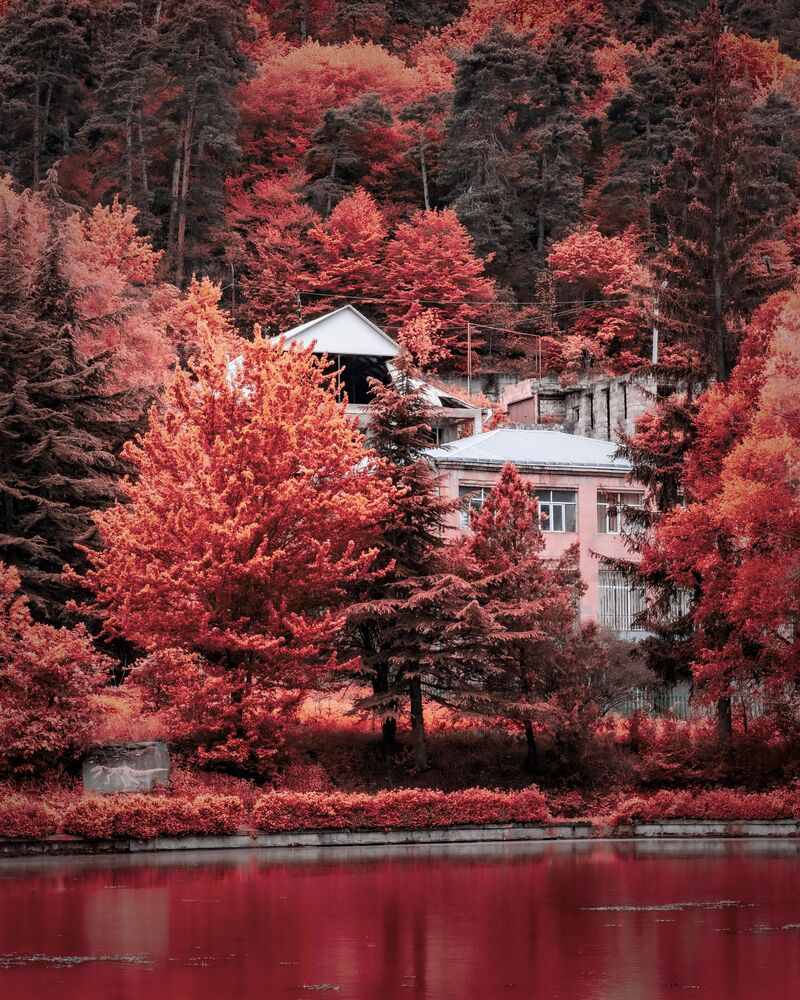 Redd (5)
