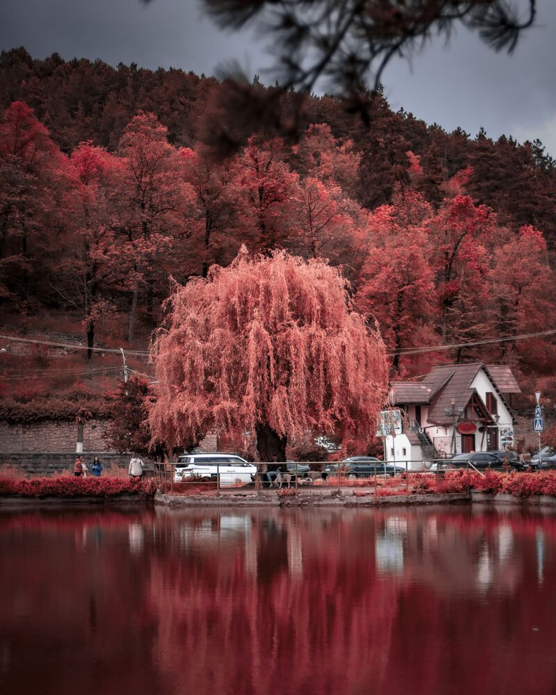 Redd (7)