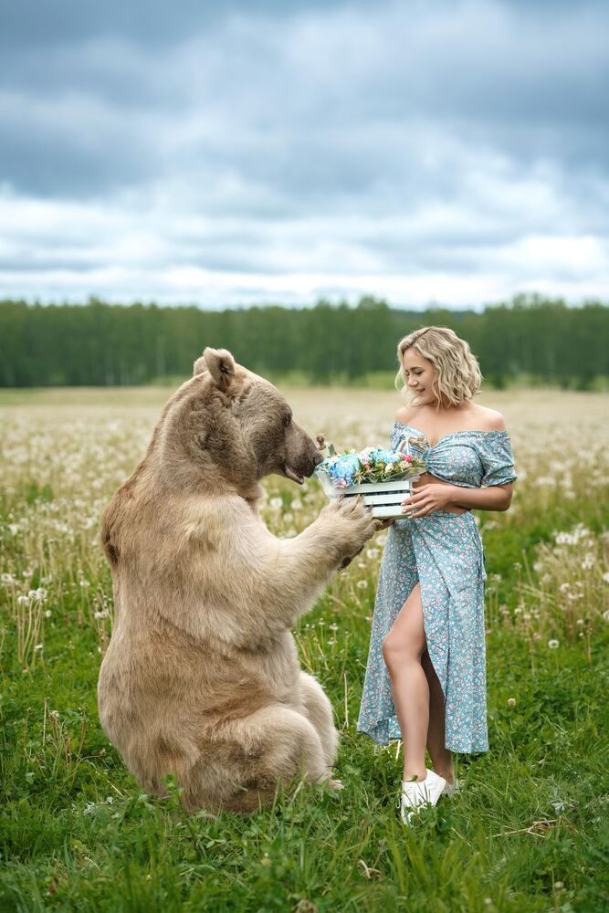 Masha and the Bear (2)