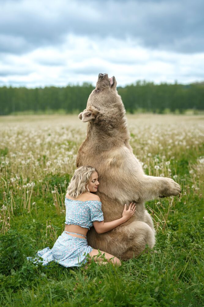 Masha and the Bear (4)