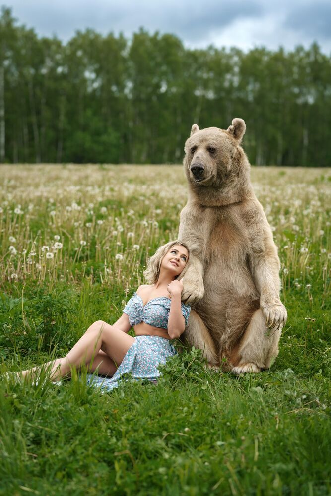 Masha and the Bear (5)