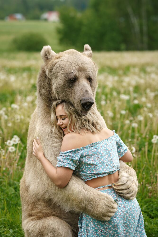 Masha and the Bear (9)