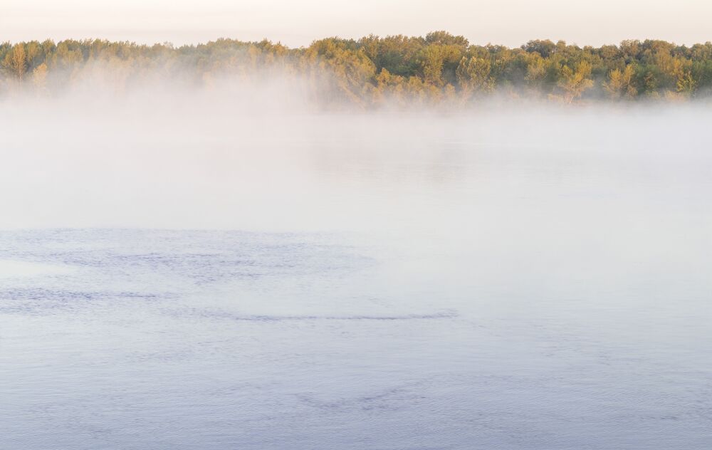 Photo #9521720 (11)