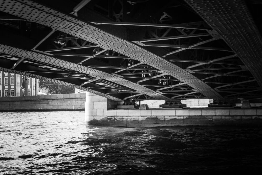 Photo #9531288 (6)