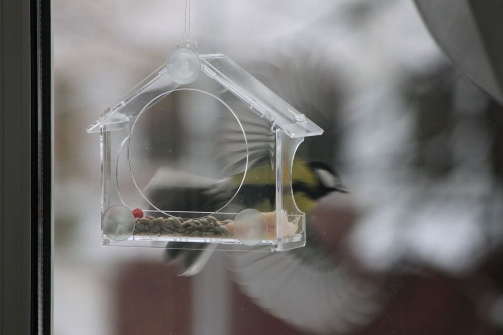 Photo #9556051 (3)