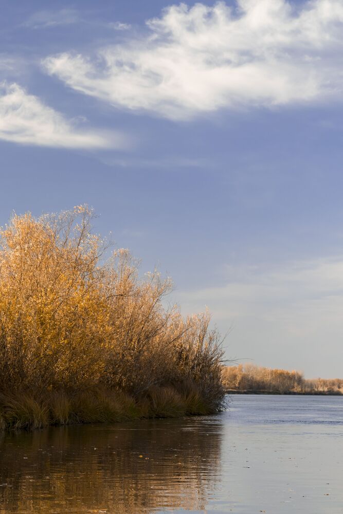 природа (3)